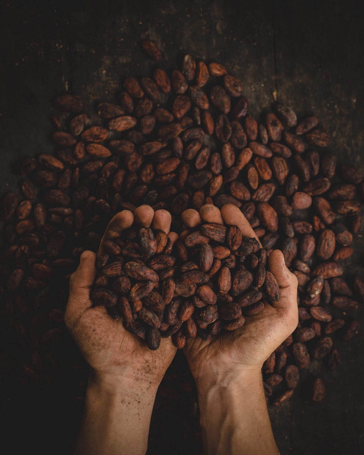 Pourquoi a-t-on envie de chocolat pendant les règles ?
