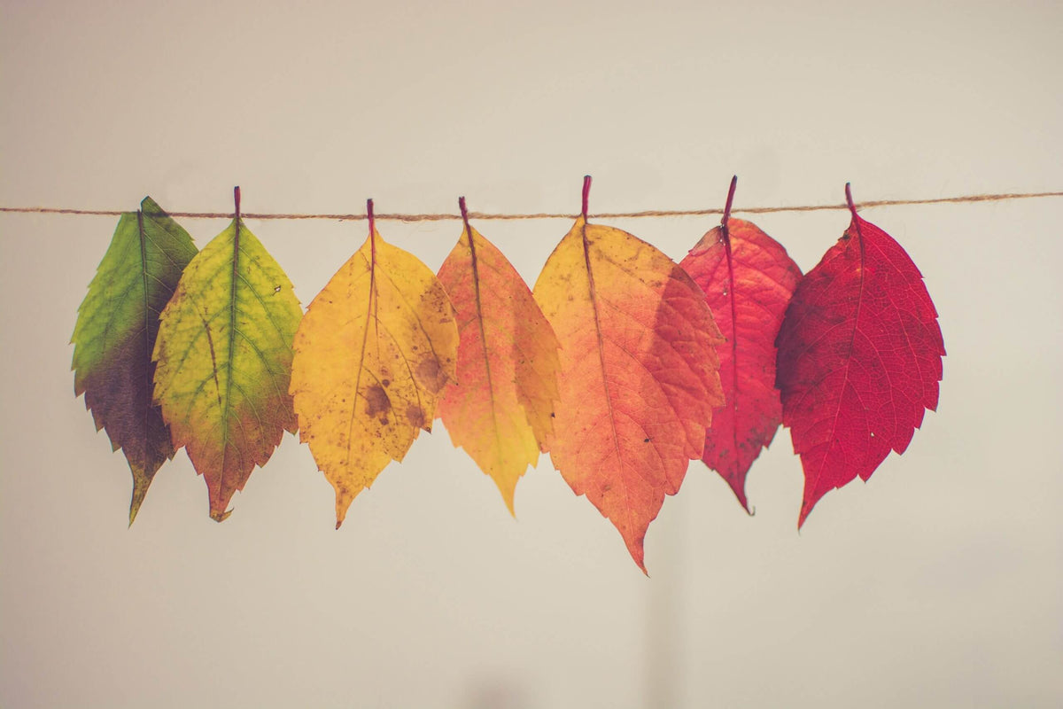 3 raisons d'opter pour la culotte menstruelle