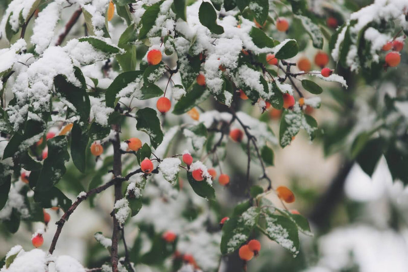 Comment protéger sa peau du froid de l’hiver ?