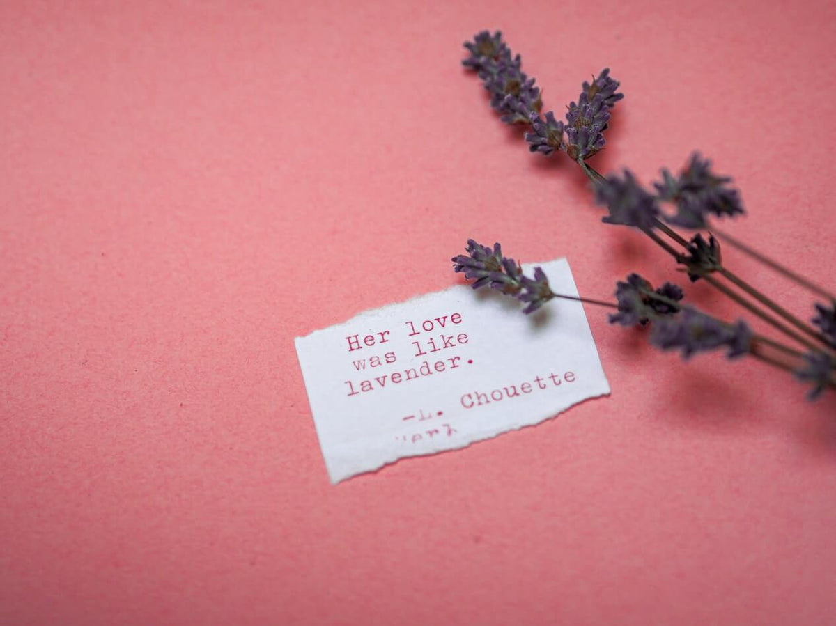 Top 10 des comptes Instagram qui nous inspirent