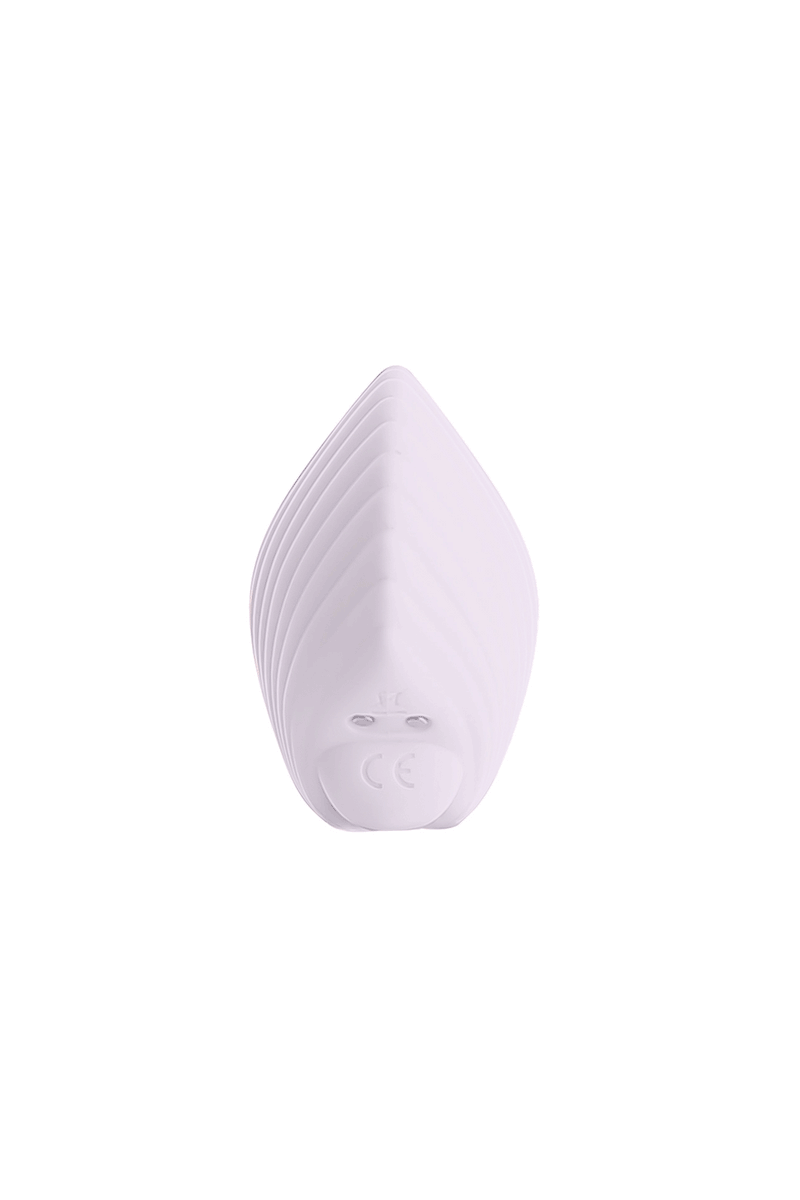 Sandy The Shell