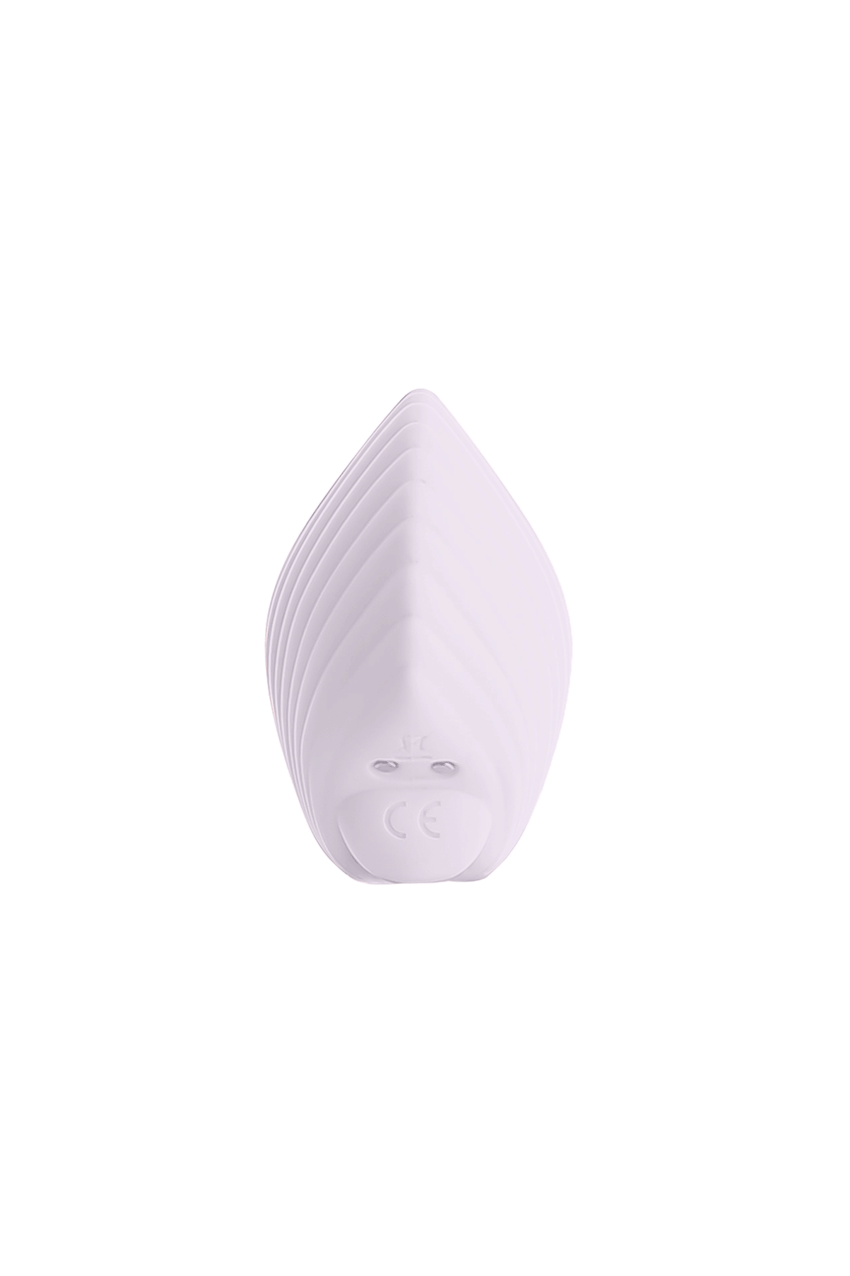 Sandy The Shell