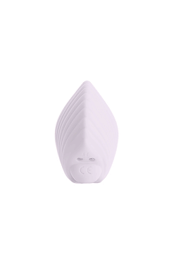Sandy The Shell