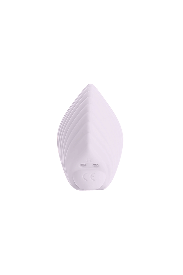Sandy The Shell