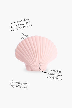 Sandy The Shell