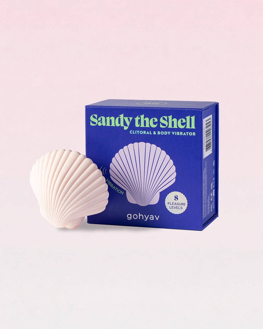 Sandy The Shell