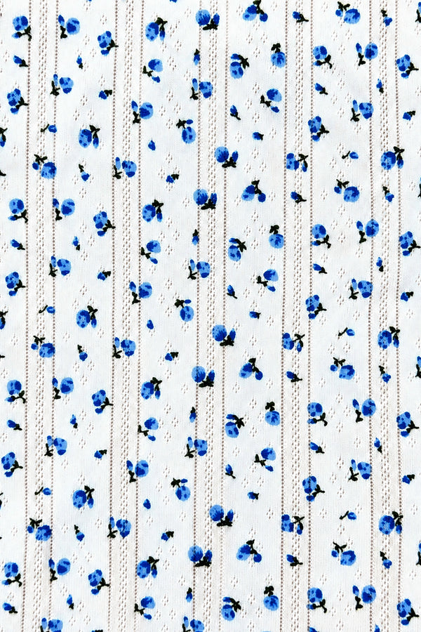 Bas Pointelle Hyacinth Bluebell