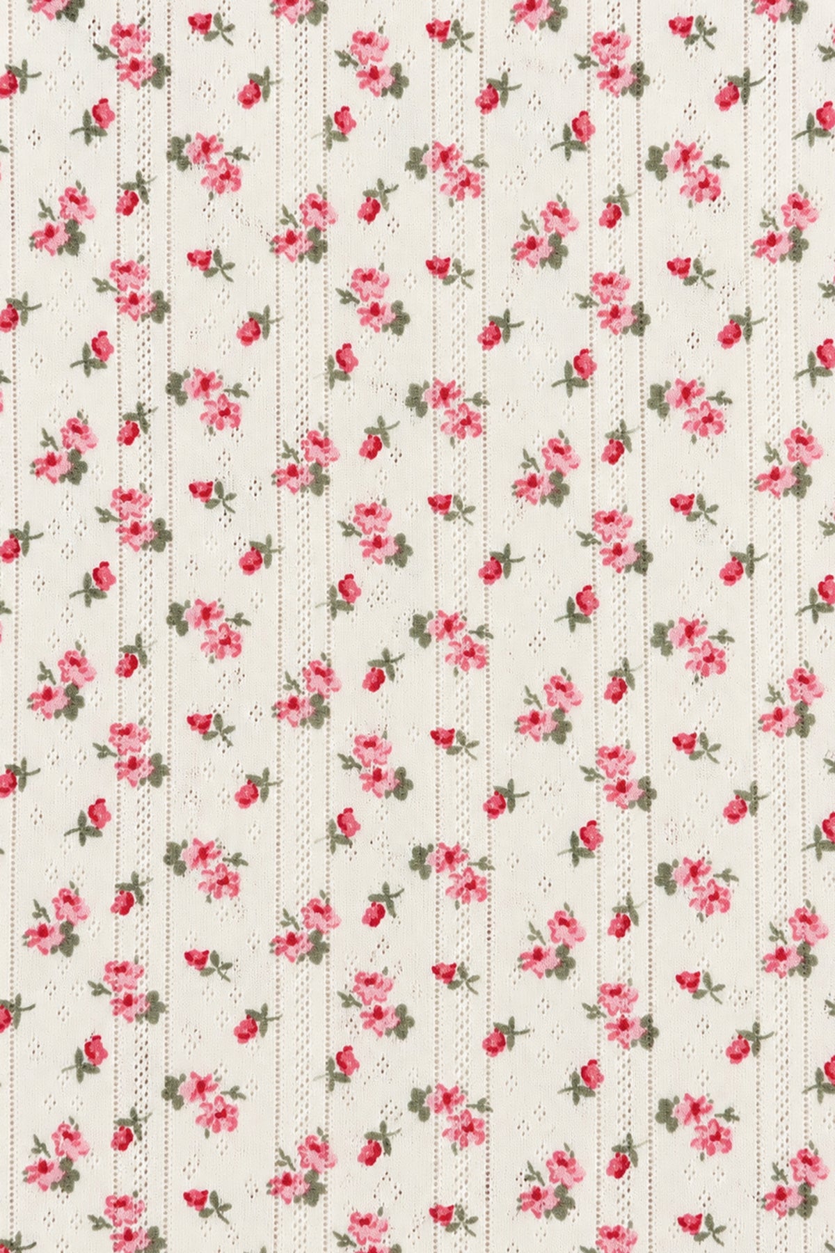 Bas Pointelle Hyacinth Wild Rose